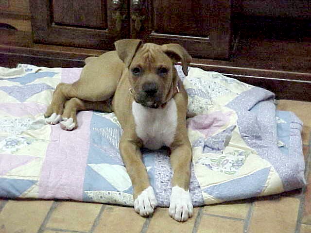 Jess says - I'm 12 weeks now