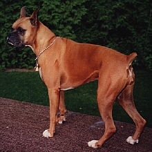 Jesse-at Rainbow Bridge