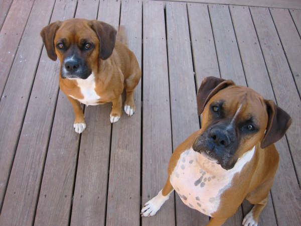 Jesse & Maya