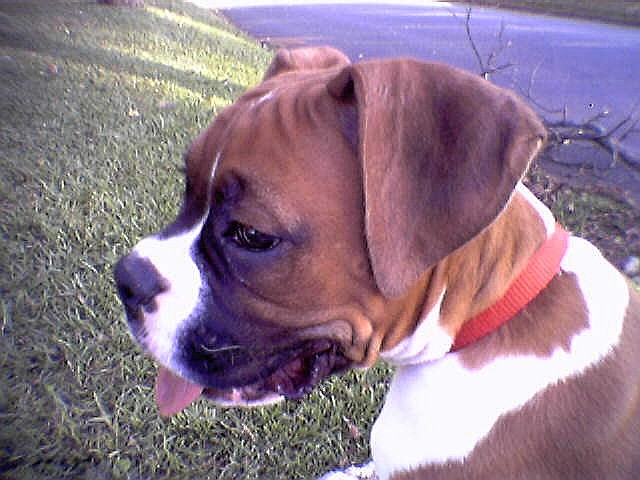 Jesse, strikin' a pose!
