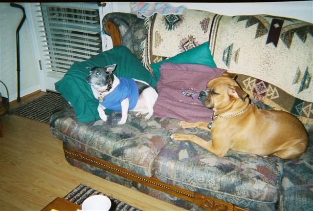 Jesse's friend Mollie