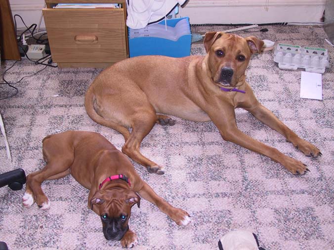 Jessie and Jake