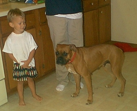 jessie and kyle