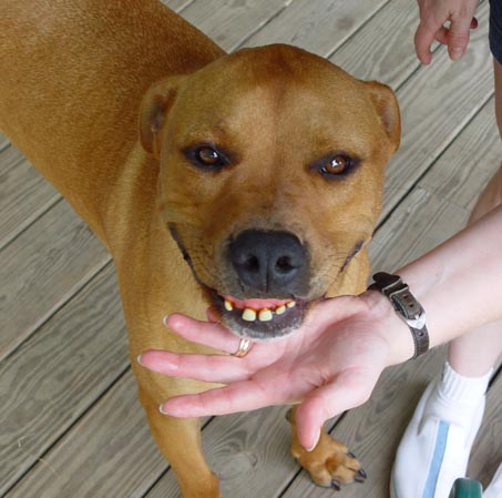Jessie Needs Some Braces