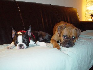 jessie_and_chloe