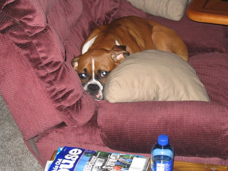 Jeter chillin on the couch