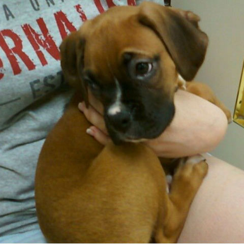 Jethro1