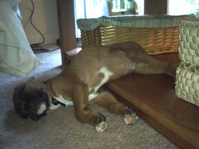 jethro6