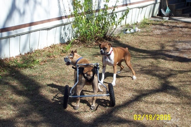Jewel & Cleo - Playing again