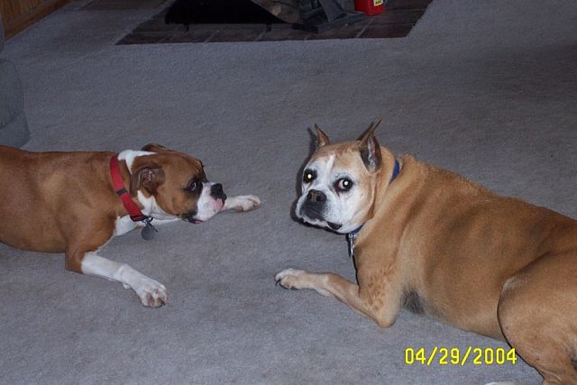 Jewel & Cleo playing