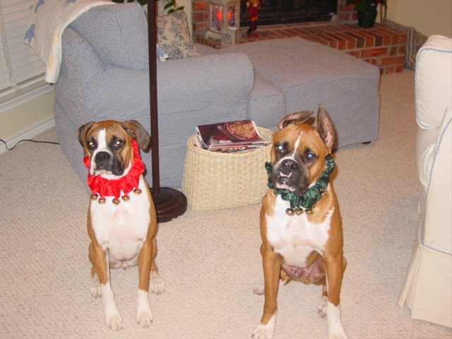 Jingle Bell Babies 2002