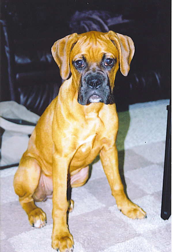 Jocelyn sitting pretty