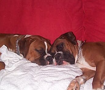 Joe and Charlie