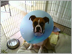 Joke's over...take this thing off!!!