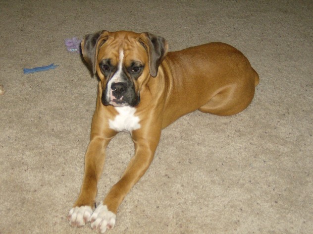 Joli 8 months