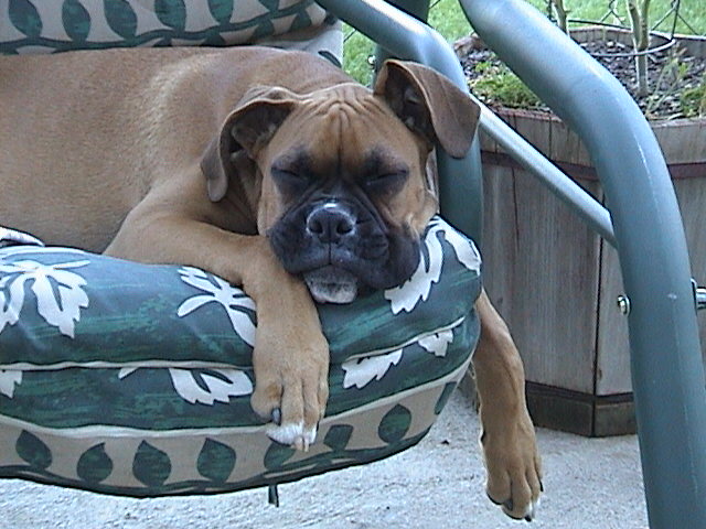jonas asleep again
