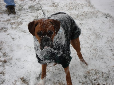 Jordan_snow