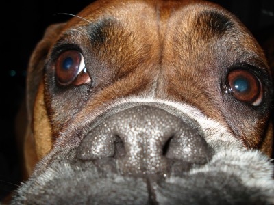 Jordan_up_close