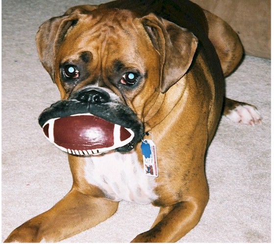 Jordan's football face