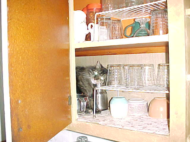 Jordan's Hideout
