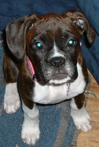 Jorja - 13 weeks