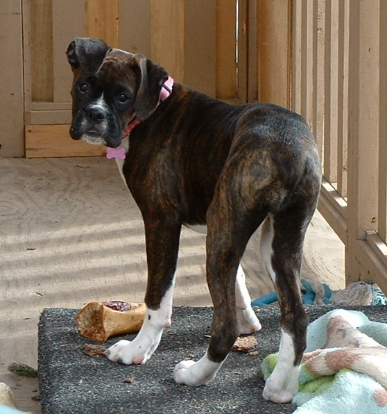 Jorja 15 wks