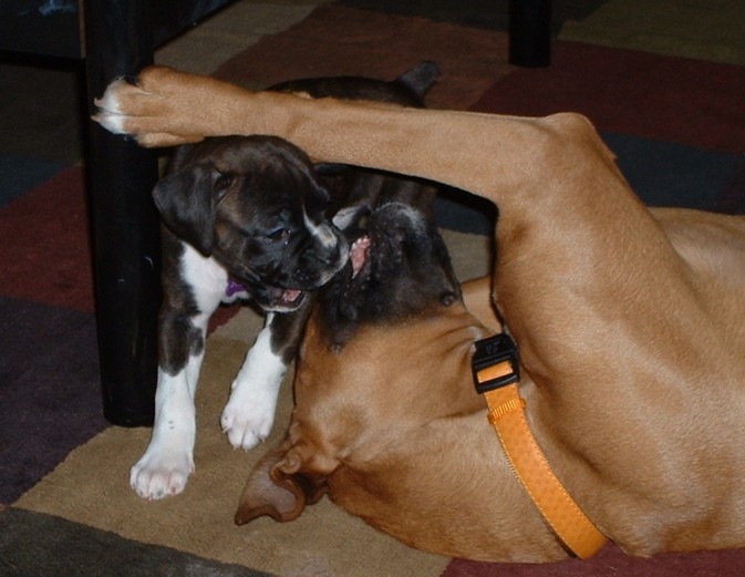 Jorja and Lewis playing