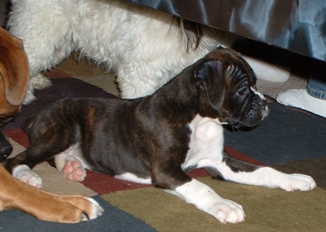 Jorja's first day home