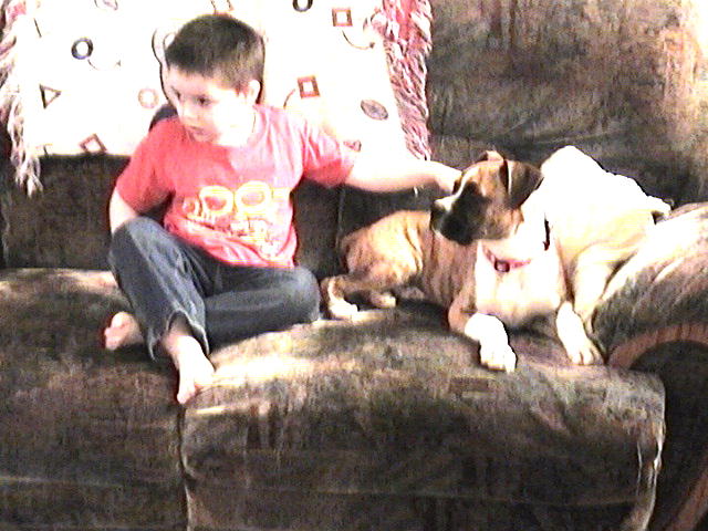 Josh and Brady watchin TV
