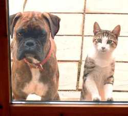 Josh (on the left!) and Maggot