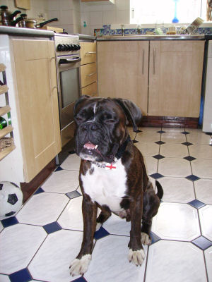 Juke on kitchen floor