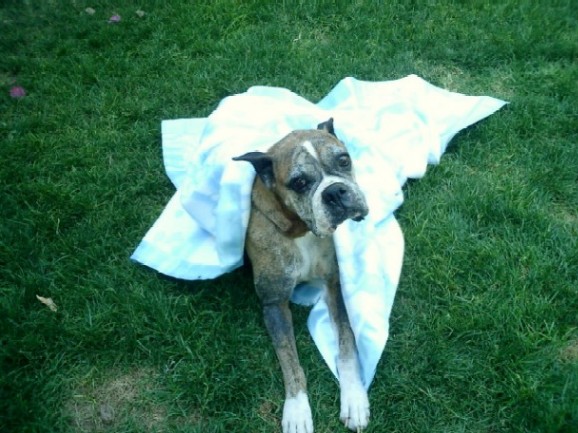 Julia and her new blanket!