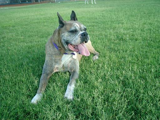 Julia Valentine at the park
