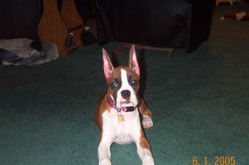 Julie 3 1/2 months