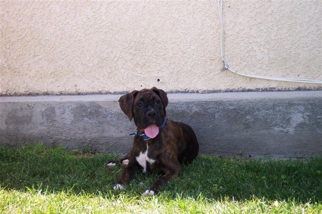July 04, 2006