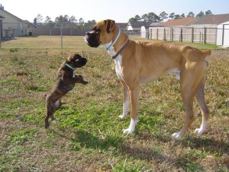 jump,mimi, jump!