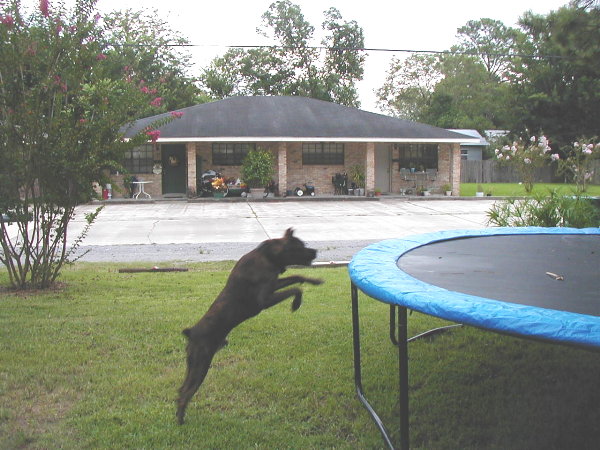 Jump