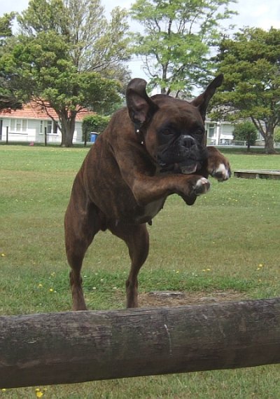 Jump!