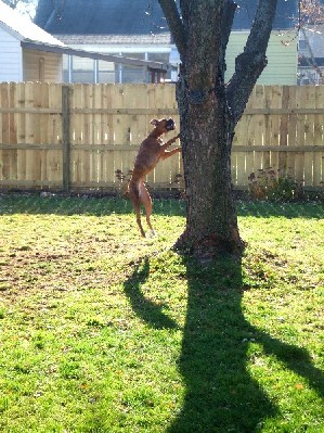 Jump!!!!