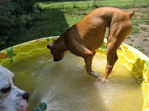 Jumpin' Zoe