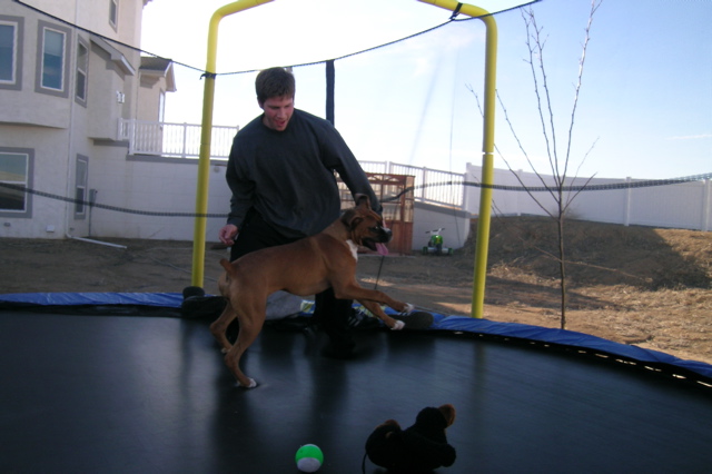 Jumping on tramp w/ tounge out