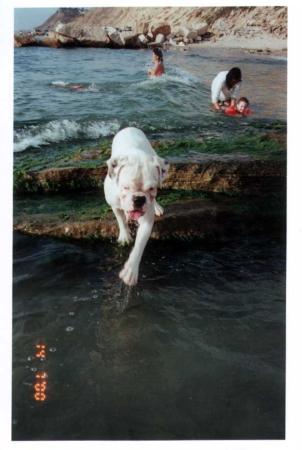 Jumping right in