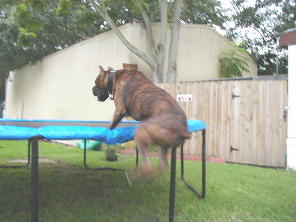 Jumping