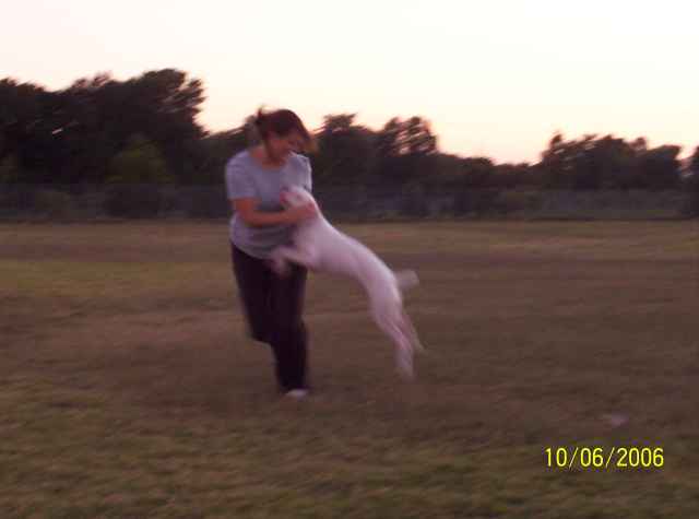 Jumping