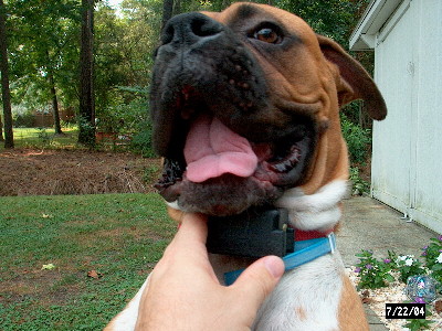 Junior Fighting Daddy and the Camera