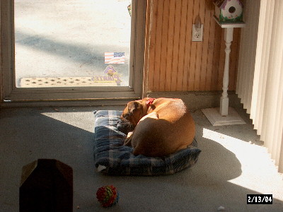 Junior - Warming by the Sun