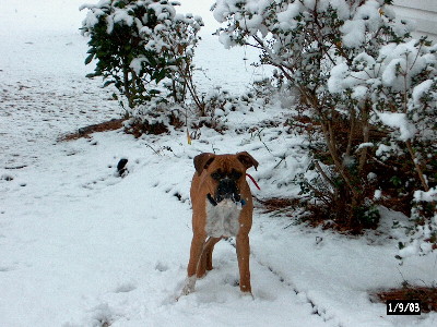 Junior's First Snow Day
