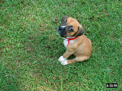 Junior's First Week Home!