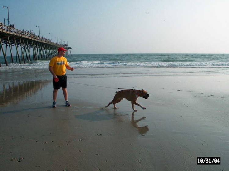 Junior's Second Time at the Beach