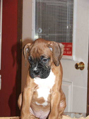just a baby
